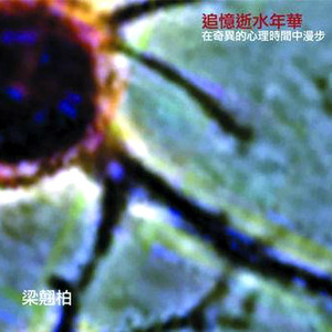 王牌竞速透视bug图片高清
